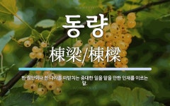 동량 뜻: 한 집안이나 한 나라를 떠받치는 중대한 일을 맡을 만한 인재를 이르는 말.