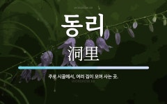 동리 뜻: 주로 시골에서, 여러 집이 모여 사는 곳.