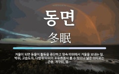 동면 뜻: 겨울이 되면 동물이 활동을 중단하고 땅속 따위에서 겨울을 보내는 일. 박쥐, 고슴도치, 다