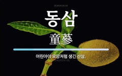 동삼 뜻: 어린아이 모양처럼 생긴 산삼.