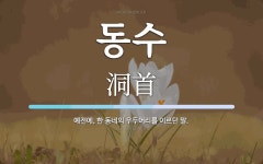 동수 뜻: 예전에, 한 동네의 우두머리를 이르던 말.