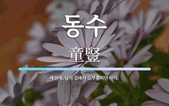 동수 뜻: 예전에, 남의 집에서 심부름하던 아이.