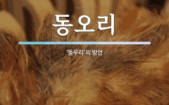 동오리 뜻: ‘둥우리’의 방언
