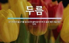 두름 뜻: 조기 따위의 물고기를 짚으로 한 줄에 열 마리씩 두 줄로 엮은 것을 세는 단위.