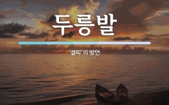 두릉발 뜻: ‘설피’의 방언