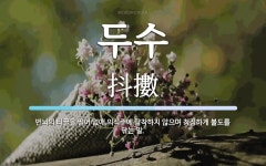 두수 뜻: 번뇌의 티끌을 떨어 없애 의식주에 탐착하지 않으며 청정하게 불도를 닦는 일.