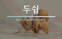 두쉼 뜻: 일을 하거나 먼 길을 걸어가다가 두 번째로 쉼.