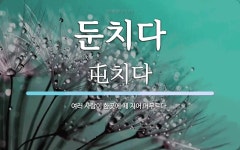 둔치다 뜻: 여러 사람이 한곳에 떼 지어 머무르다.