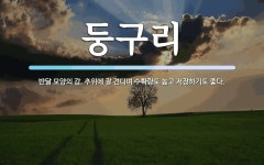 둥구리 뜻: 반달 모양의 감. 추위에 잘 견디며 수확량도 높고 저장하기도 좋다.