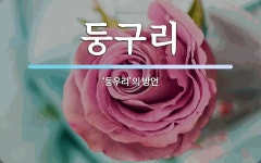 둥구리 뜻: ‘둥우리’의 방언