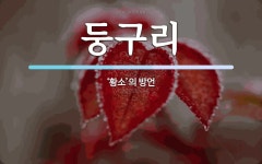 둥구리 뜻: ‘황소’의 방언