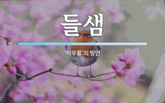 들샘 뜻: ‘박우물’의 방언