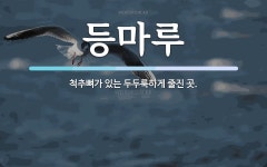 등마루 뜻: 척추뼈가 있는 두두룩하게 줄진 곳.