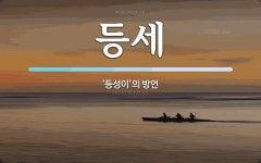 등세 뜻: ‘등성이’의 방언