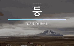 등 뜻: ‘산등성이’의 북한어.