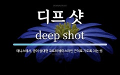 디프 샷 뜻: 테니스에서, 공이 상대편 코트의 베이스라인 근처로 가도록 치는 샷.