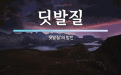 딧발질 뜻: ‘뒷발질’의 방언