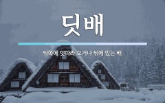 딧배 뜻: 뒤쪽에 잇따라 오거나 뒤에 있는 배