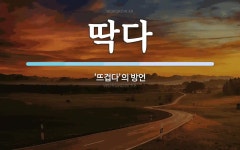 딱다 뜻: ‘뜨겁다’의 방언