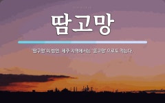 땀고망 뜻: ‘땀구멍’의 방언. 제주 지역에서는 ‘\ue3e9고망’으로도 적는다.