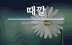 때깔 뜻: 눈에 선뜻 드러나 비치는 맵시나 빛깔.