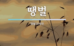 땡벌 뜻: ‘땅벌’의 방언