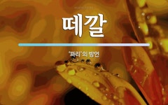 떼깔 뜻: ‘꽈리’의 방언