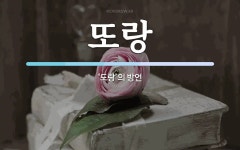 또랑 뜻: ‘도랑’의 방언
