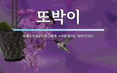 또박이 뜻: 언제나 한결같이 꼭 그렇게. ⇒규범 표기는 ‘또바기’이다.