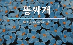 똥싸개 뜻: 몹시 못난 사람을 속되게 이르는 말.