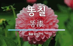 똥칠 뜻: 똥을 묻히는 짓.
