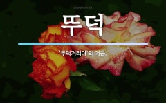 뚜덕 뜻: ‘뚜덕거리다’의 어근.