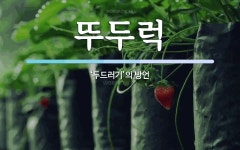 뚜두럭 뜻: ‘두드러기’의 방언