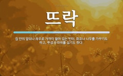 뜨락 뜻: 집 안의 앞뒤나 좌우로 가까이 딸려 있는 빈터. 화초나 나무를 가꾸기도 하고, 푸성귀 따위