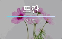 뜨란 뜻: ‘뜰’의 방언