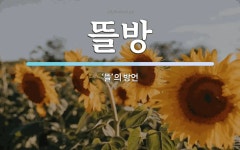 뜰방 뜻: ‘뜰’의 방언