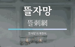 뜰자망 뜻: ‘뜬자망’의 북한어.