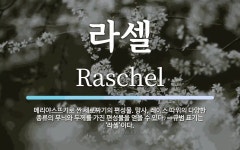 라셀 뜻: 메리야스뜨기로 짠 세로짜기의 편성물. 망사, 레이스 따위의 다양한 종류의 무늬와 두께를 가