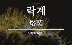 락계 뜻: ‘낙계’의 북한어.