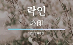 락인 뜻: ‘낙인’의 북한어.