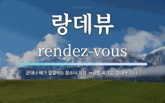 랑데뷰 뜻: 군대나 배가 집결하는 장소나 지점. ⇒규범 표기는 ‘랑데부’이다.