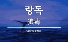 랑독 뜻: ‘낭독’의 북한어.