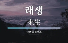 래생 뜻: ‘내생’의 북한어.