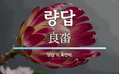 량답 뜻: ‘양답’의 북한어.
