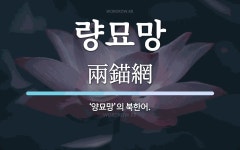 량묘망 뜻: ‘양묘망’의 북한어.