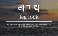 레그 락 뜻: 종합 격투기에서, 하체 관절에 사용하는 여러 가지 기술을... ⇒규범 표기 레그 락 뜻: 종합 격투기에서, 하체 관절에 사용하는 여러... 