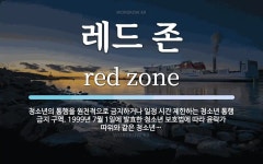 레드 존 뜻: 청소년의 통행을 원천적으로 금지하거나 일정 시간 제한하는 청소년 통행 금지 구역. 1999