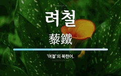 려철 뜻: ‘여철’의 북한어.