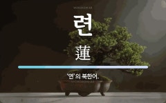 련 뜻: ‘연’의 북한어.
