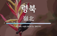 령북 뜻: 재의 북쪽. ⇒남한 규범 표기는 ‘영북’이다.